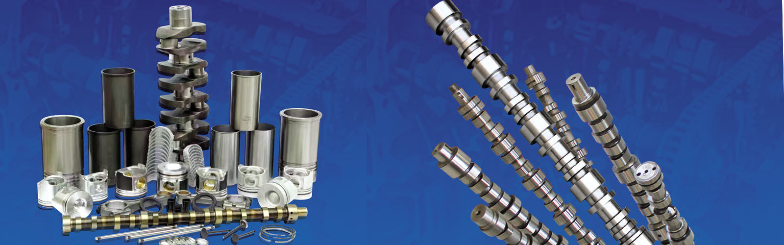 Kalite Motor revizyon kitleri fabrika