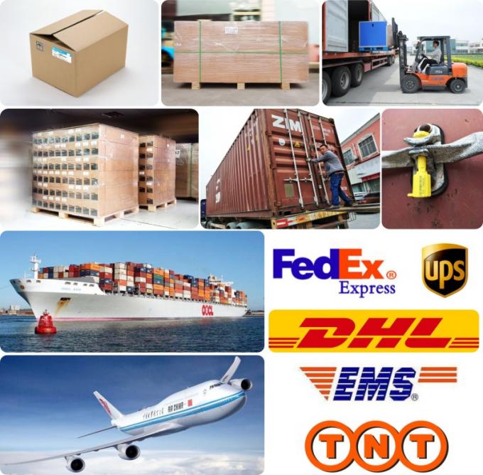 DE08 D1146 Silindir Kapağı Contası Ekskavatör Otobüs Kamyon için 65.03901-0070 400603-00119 65.03901-0058 18