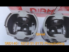 6212-31-2170 Fosfatlama